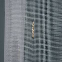 Firana gładka Markizeta Złoty Deszczyk wys. 300 cm z ołowianką